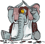 elefante taglia capelli.gif